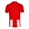 Maillot de Supporter U.D. Almeria Domicile 2024-25 Pour Homme